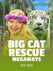 Big Cat Rescue Megaways game cover